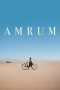 amrum-2025
