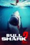 bull-shark-2-2025